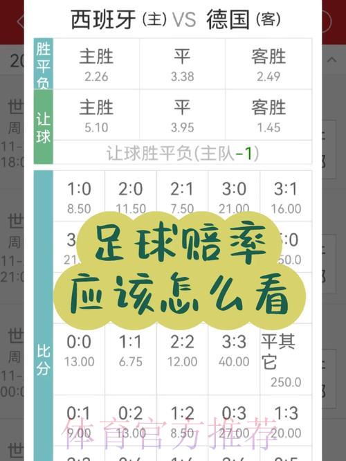 世界杯投注赔率全攻略，轻松读懂数字玩法