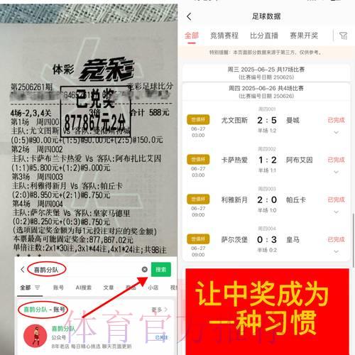 世界杯购球平台是否可靠?全面风险评估解析 世界杯购球平台是否可靠?全面风险评估解析