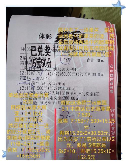 世界杯竞彩完全攻略：零基础到高手的进阶之路